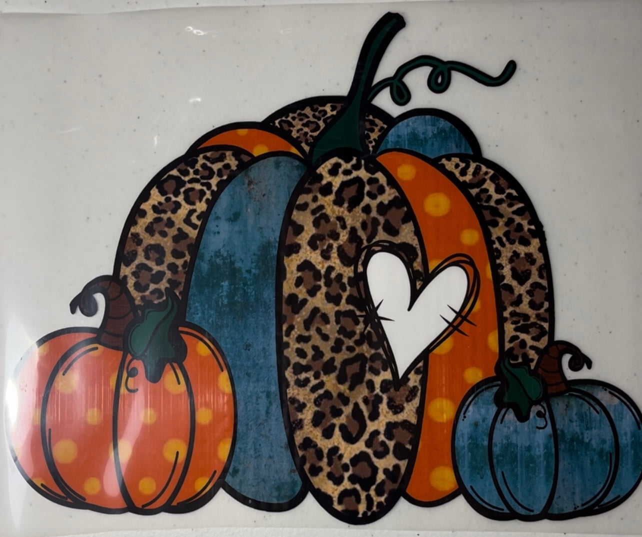 Fall Shirt Designs (Assorted)