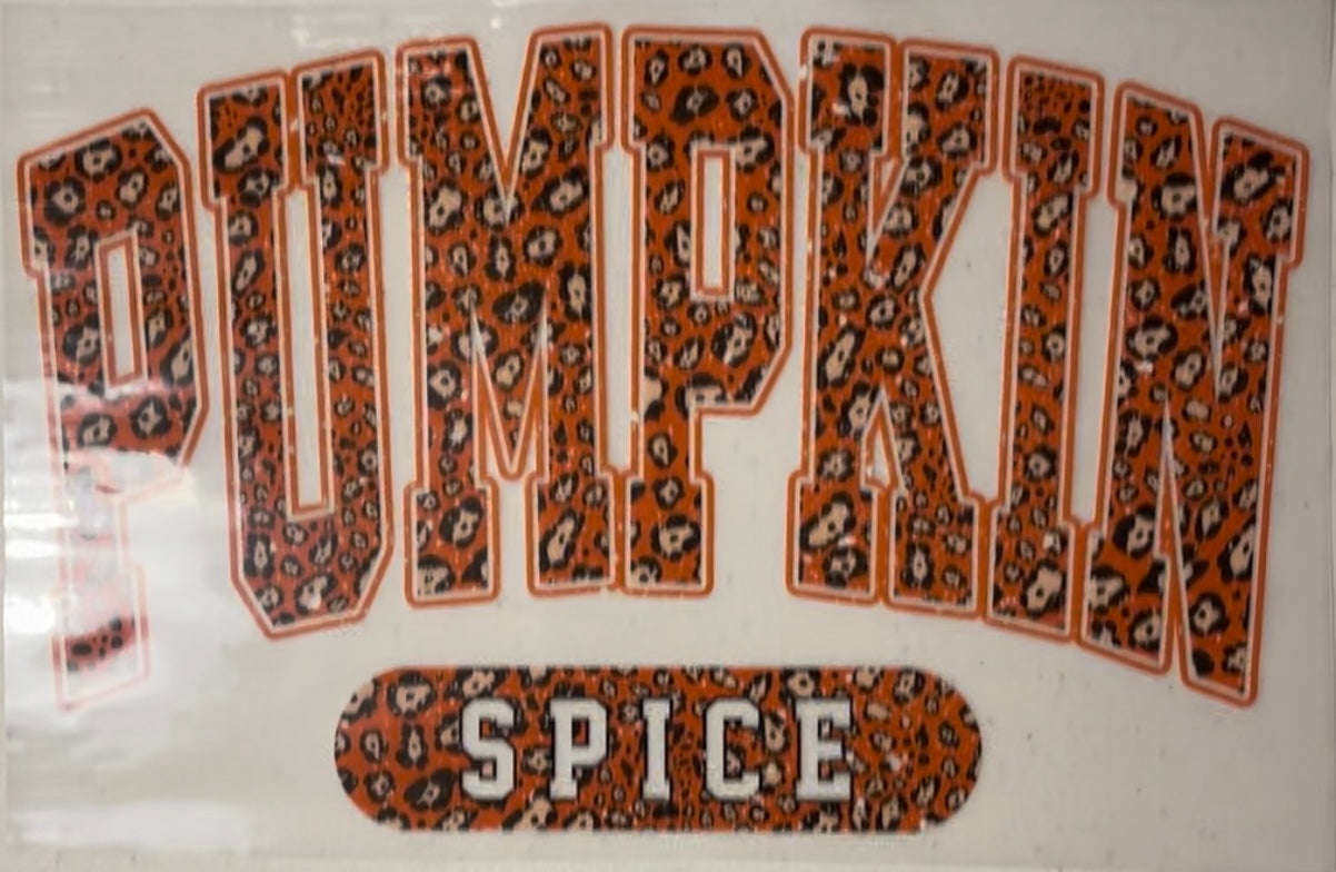 Fall Shirt Designs (Assorted)
