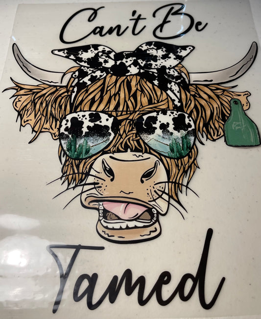 Western Shirt Designs (Assorted)