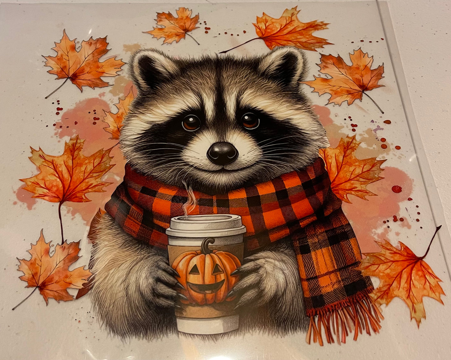 Fall Shirt Designs (Assorted)
