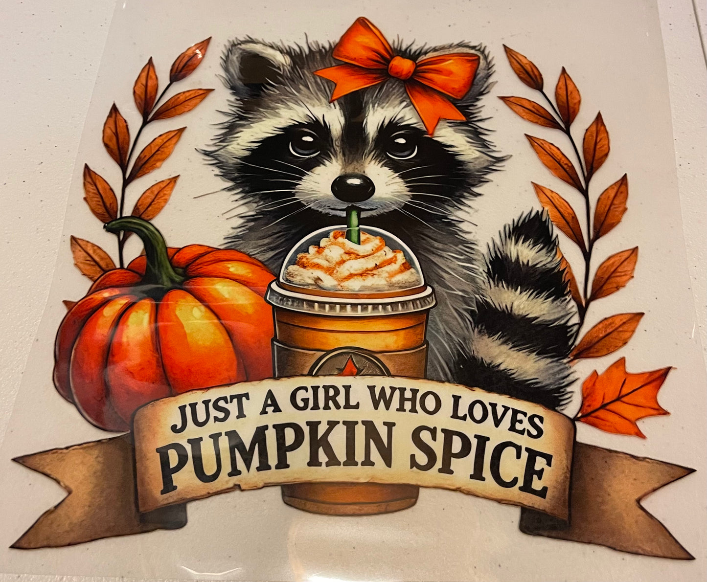 Fall Shirt Designs (Assorted)