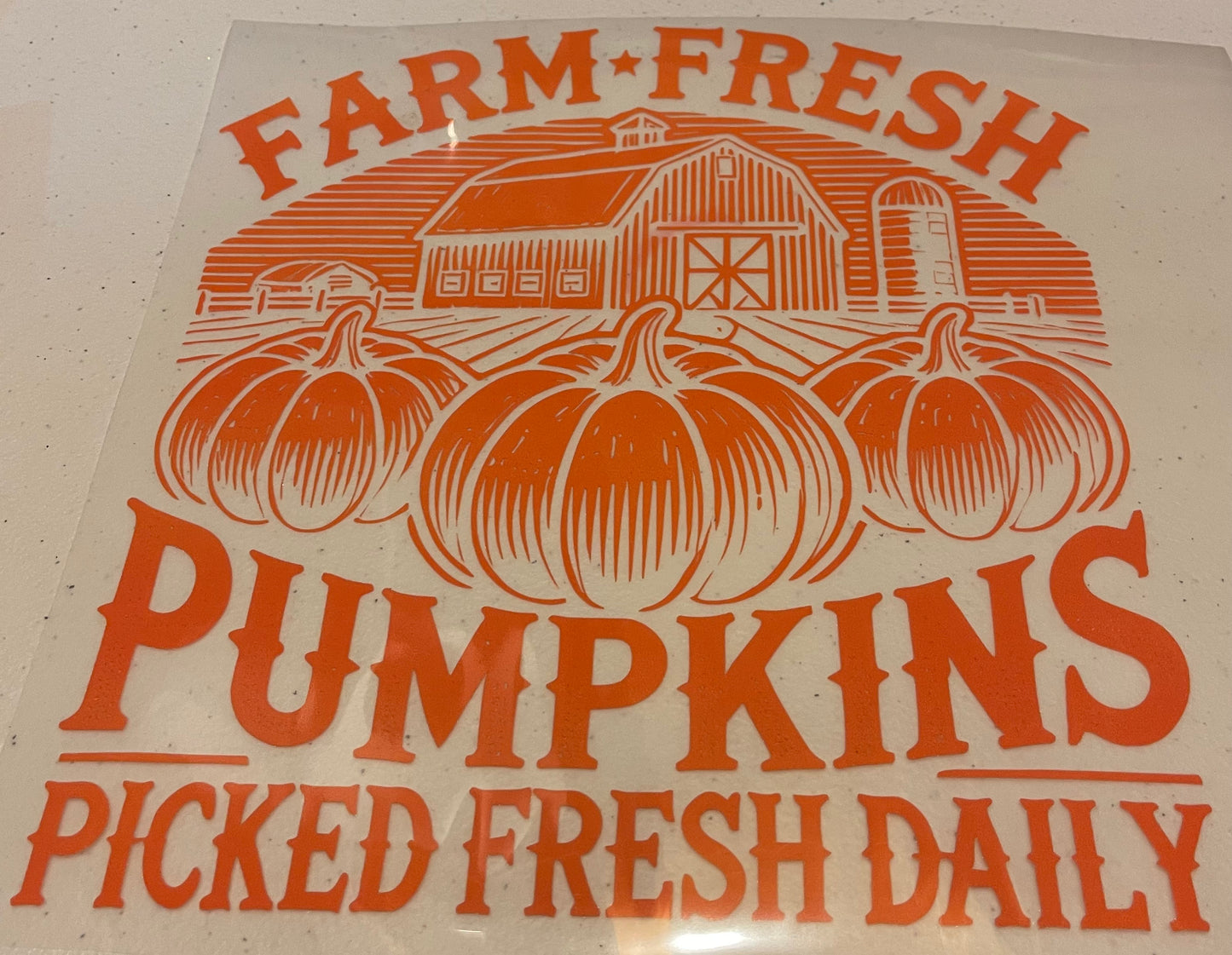 Fall Shirt Designs (Assorted)
