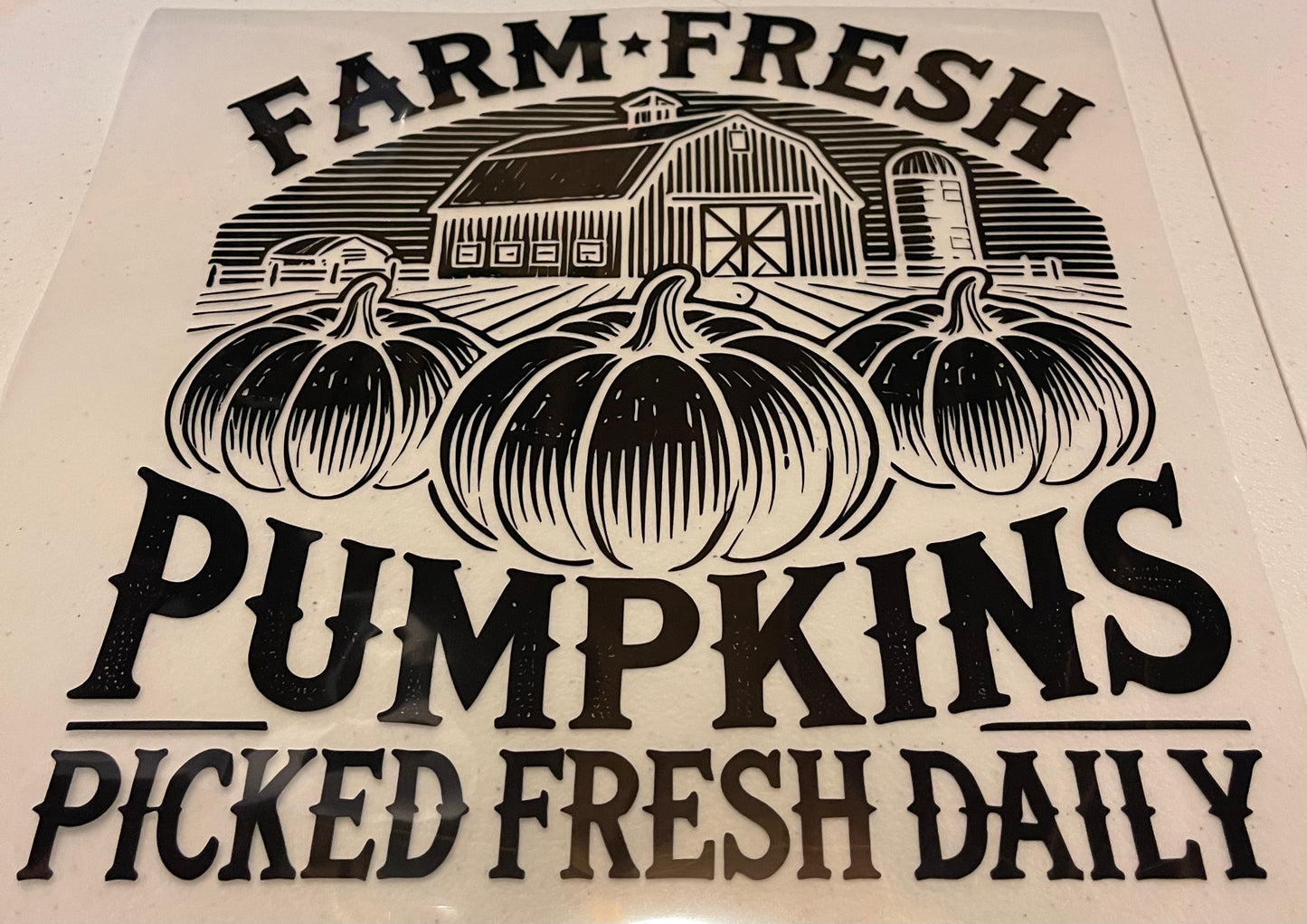 Fall Shirt Designs (Assorted)