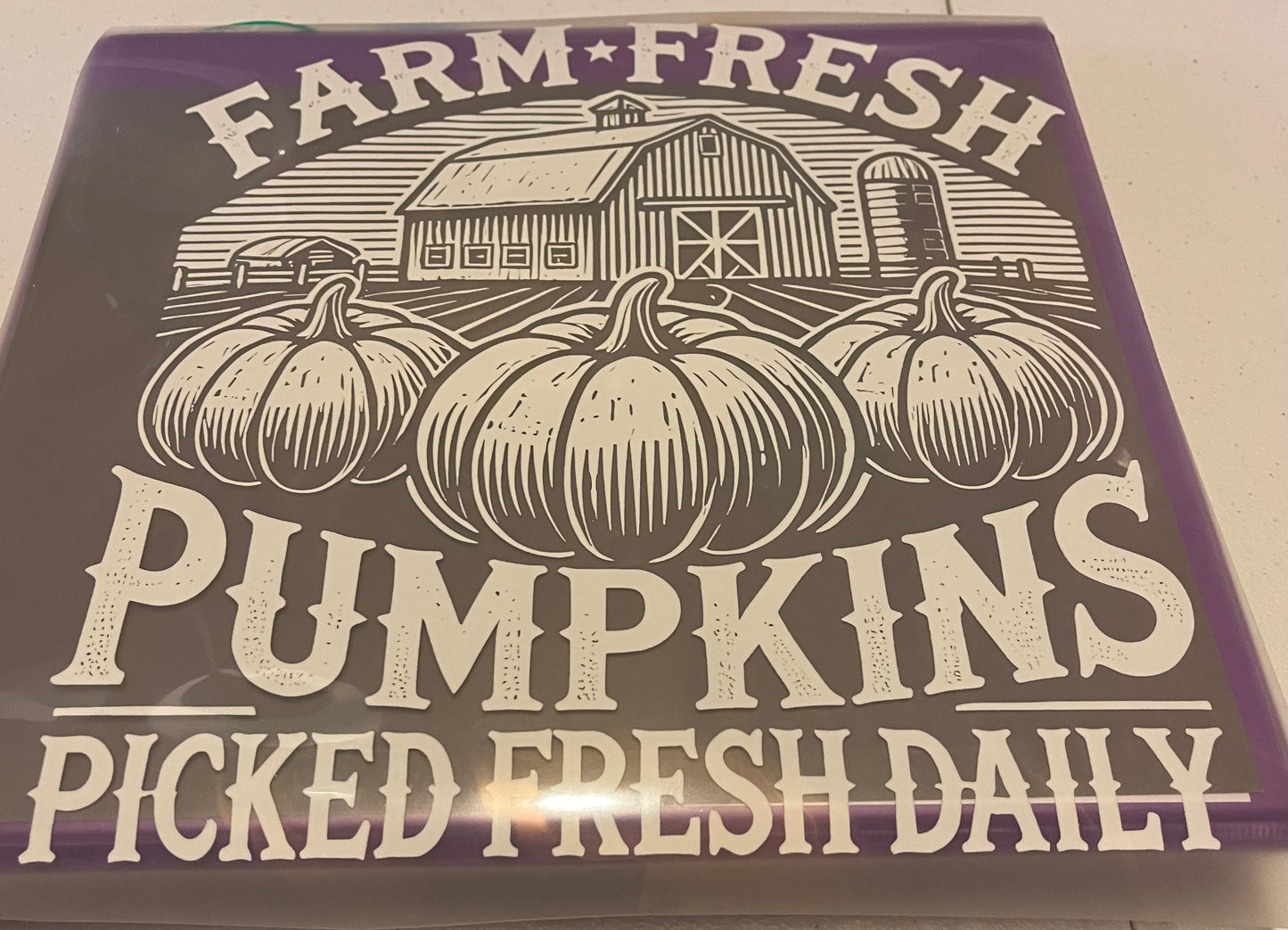 Fall Shirt Designs (Assorted)