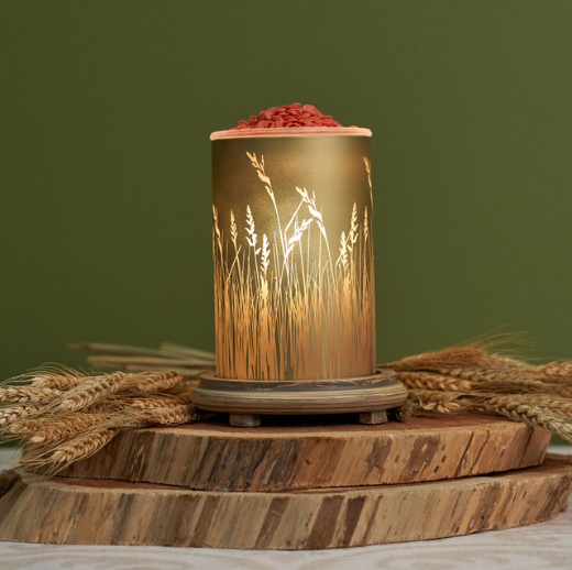 Wheat Field Simmering Light