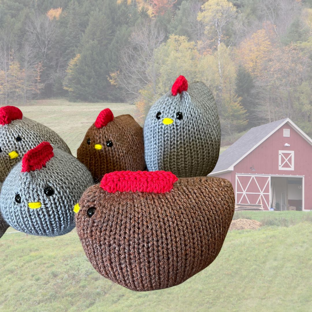 Medium Chatty Chickens