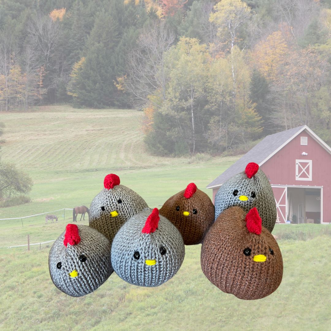 Large Chatty Chickens