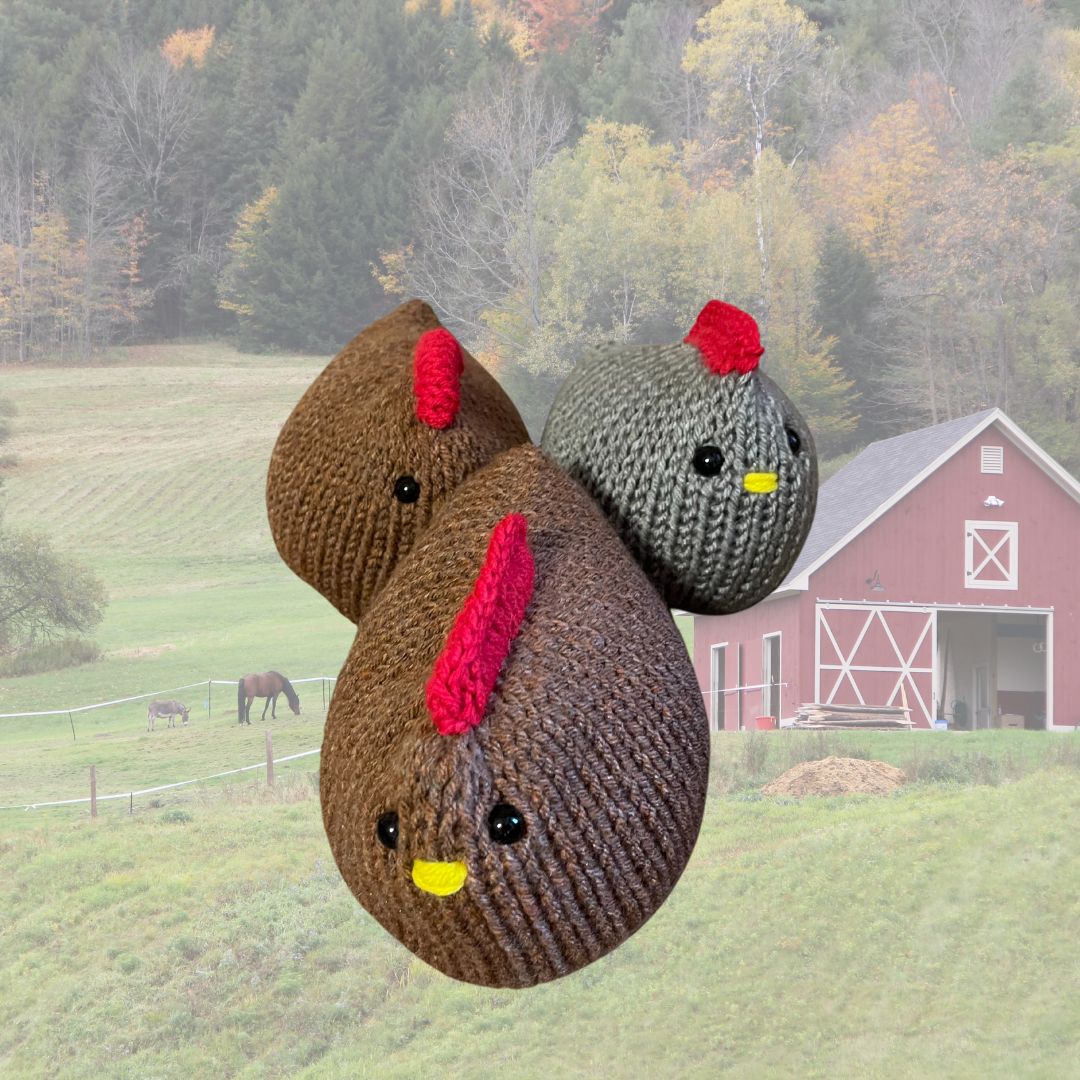 Medium Chatty Chickens